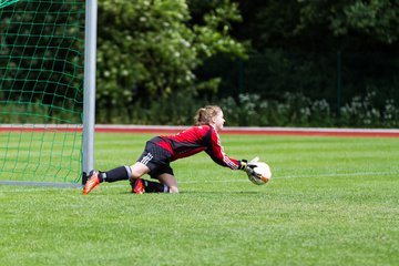 Bild 181 - C-Juniorinnen Landesmeister Finale SV Wahlstedt - TuRa Meldorf : Ergebnis: 1:4